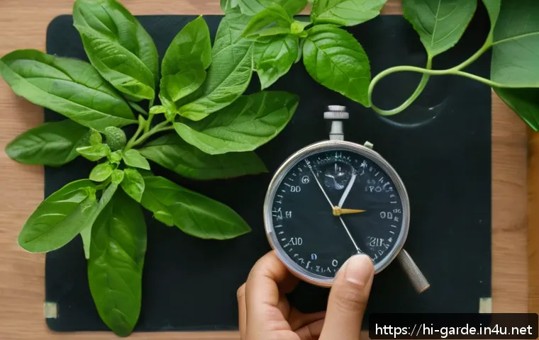 원예사 실기 시험 전날 해야 할 일 - A detailed close-up of a practical botany exam setup focusing on plant identification: various plant...